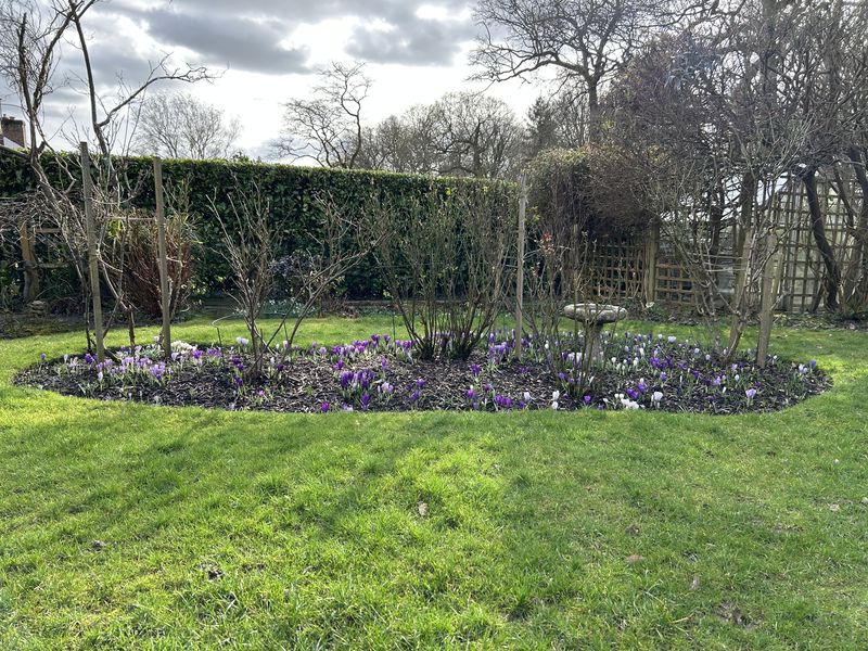 Lagham Park South Godstone